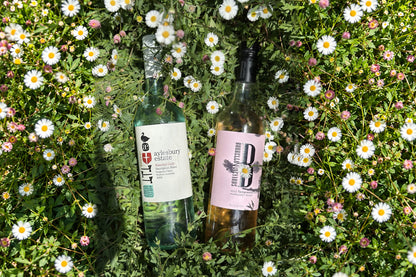 Bacchanalia Wine Club & Curated Cases